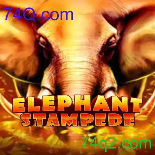 ElephantStampede
