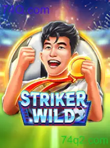 StrikerWILD
